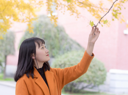 菲律宾广州大使馆开了吗(广州大使馆详解)